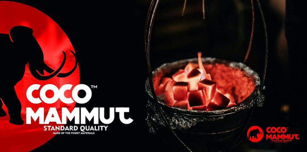 Coco Mammut Coal 26mm